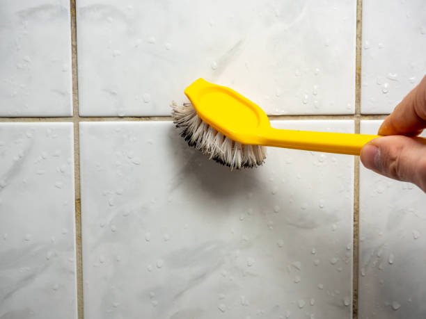 Best Residential Mold Remediation in Bard College, NY